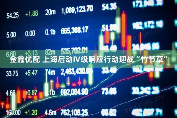 金鑫优配 上海启动Ⅳ级响应行动迎战“竹节草”