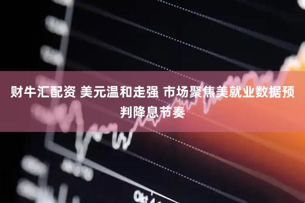 财牛汇配资 美元温和走强 市场聚焦美就业数据预判降息节奏